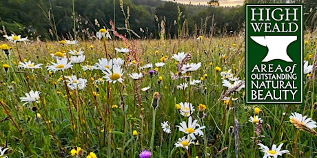 Meadow Creation and Maintenance in the High Weald - Cutting and Haymaking primary image