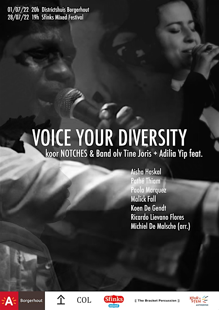 Afbeelding van Voice Your Diversity