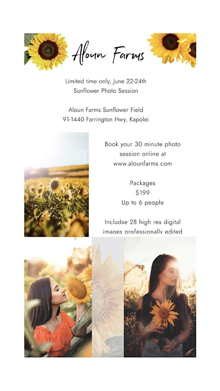 Aloun Farms Sunflower Photo Sessions image