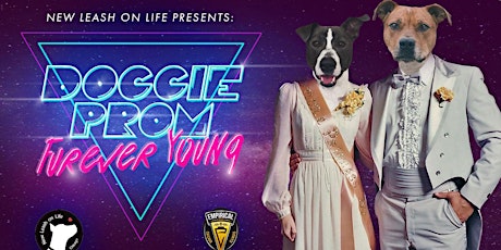 DOGGIE PROM - Furever Young primary image