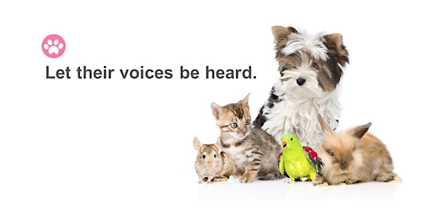 Animal Communication with Reiki Level 1