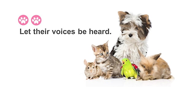 Animal Communication with Reiki Level 2
