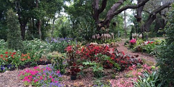 Winter Park, DT Orlando w Meade Botanical Gardens Bikeabout