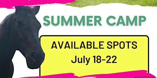 Summer Camp With Spirit The Horse!