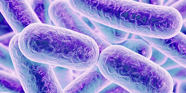 Understanding and Treating Bacterial Infections and Microbial Resistance