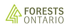 Organizer profile image