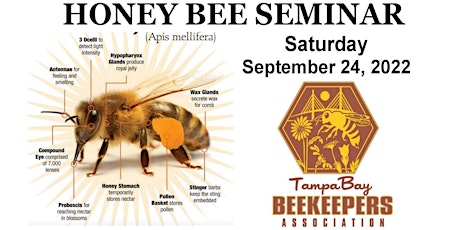 2022 Honey Bee Seminar primary image