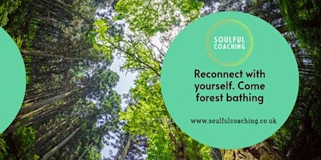 Forest Bathing & Nature Connection Session tickets