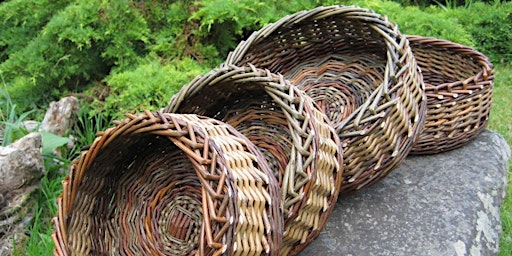 Create a Willow Basket - Tutor Mandy Coates