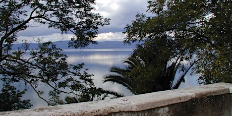 Immagine principale di Anguillara Produce 