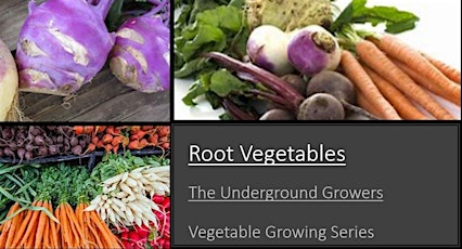Root Vegetable Growing- Underground Growers in the Vegetable Garden tickets