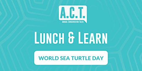World Sea Turtle Day - Virtual Lunch & Learn primary image