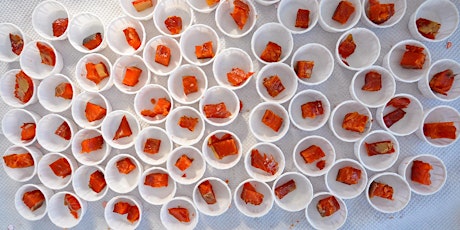 4th Annual Southern Oregon Smoked Salmon Fest primary image