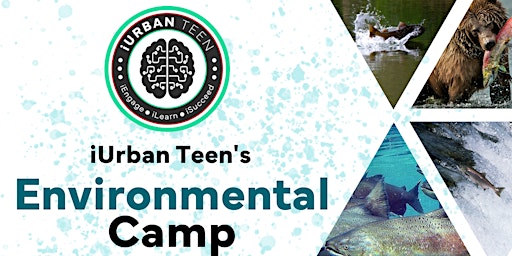 Salmon Conservation with iUrban Teen & University of Washington