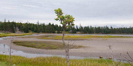 Discover McNabs Island: NATURE Tour -  August 21, 2022, 10:30 AM departure