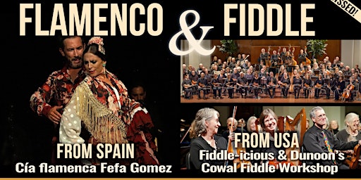 Fiddle-icious  - Flamenco & Fiddle