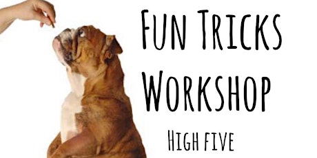 Fun Trick's Two Week Workshop @ The DSPCA