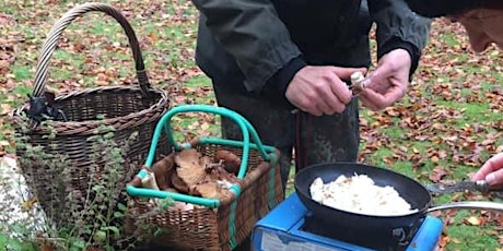 Mushroom foraging at Duxbury Woods, Chorley