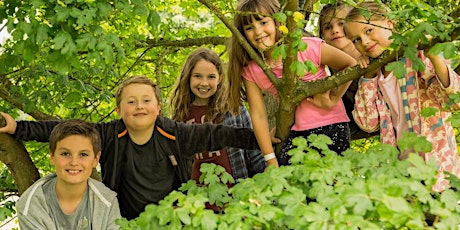 Home Education Wildskills at The Wolseley Centre 19/7 tickets