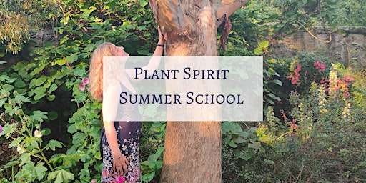 Plant Spirit Summer School 3 day immersion