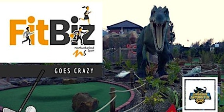 FitBiz - Crazy Golf primary image