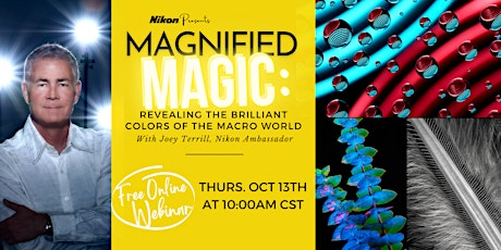 Magnified Magic: Revealing the Brilliant Colors of the Macro World ingressos