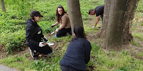 Imagem principal do evento Team RIVER Volunteers