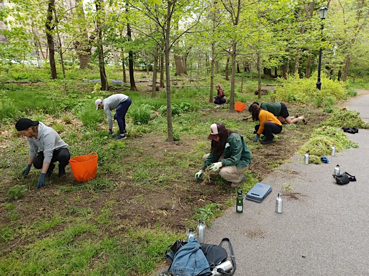 Team RIVER Volunteers image