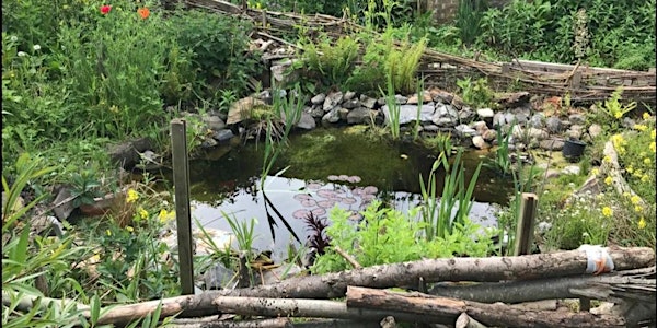 Creating and Maintaining a Wildlife Pond in your Community Garden