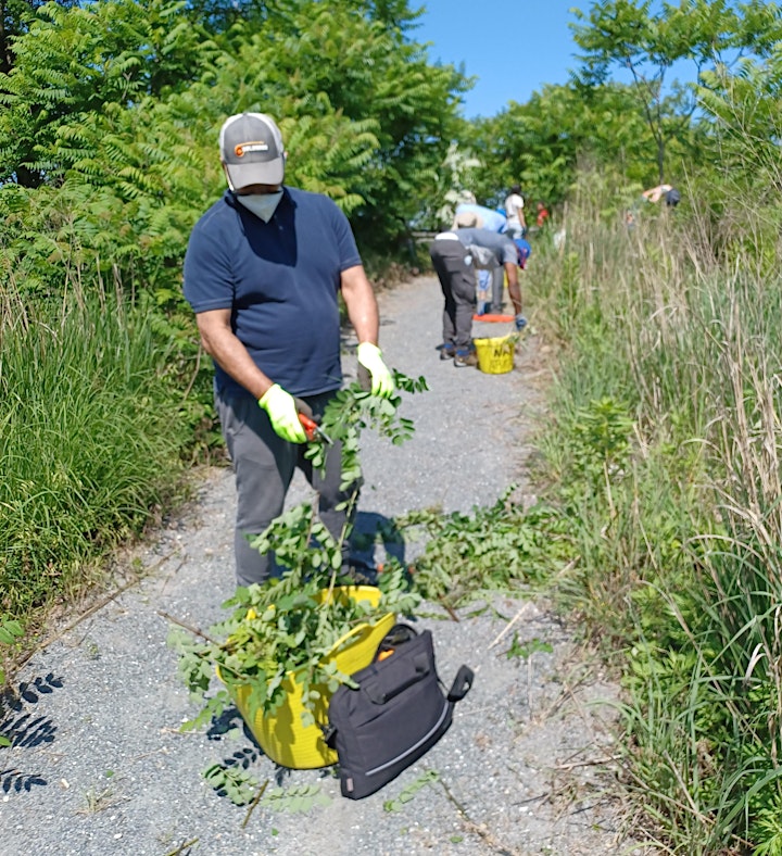 Team RIVER Volunteers image