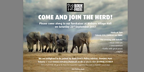 Come And Join The Herd primary image