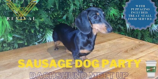 Summer Sausage Dog Party! - Dachshund Restaurant Meet