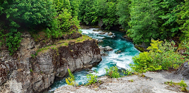 Elwha Ecosystem Restoration – 10 dam-free years and counting image