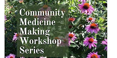 Community Medicine Making Workshop: Echinacea Tincture
