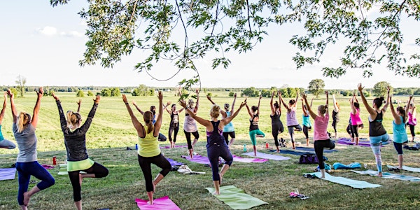 Yoga @ the Vineyard 2017 - Official Launch!