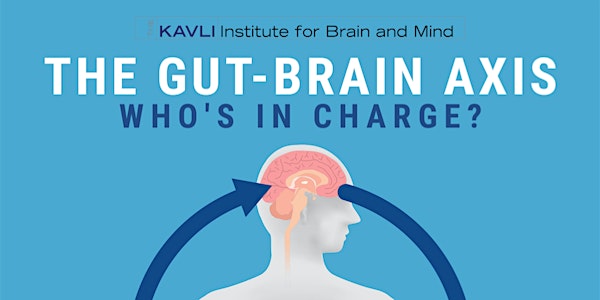 The Gut-Brain Axis: Who’s in Charge? 