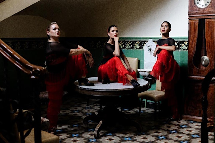 La Magdalena Flamenco Show - Costa Brava, Girona image