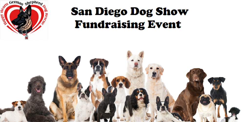 German Shepherd Dog Show San Diego German Shepherd Dog Show San Diego