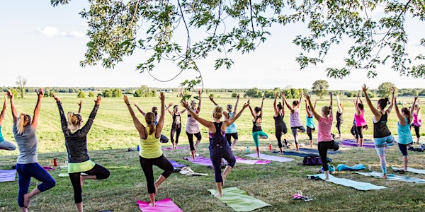 Yoga @ the Vineyard - July 20, 2017