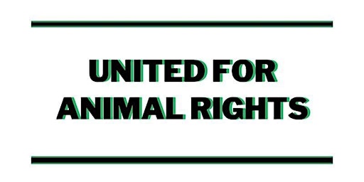 Animal Rights Run