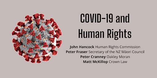 Human rights issues arising from the COVID-19 response