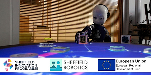 Working with Robots: Human-Robot Co-working