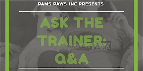 **FREE** Ask the Trainer Q&A Webinar