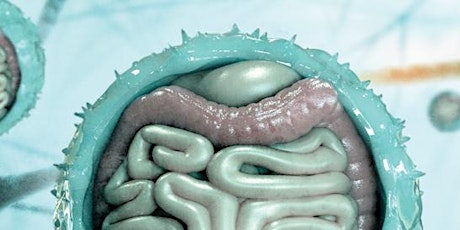 Gut feeling: how bacteria influence our wellbeing primary image