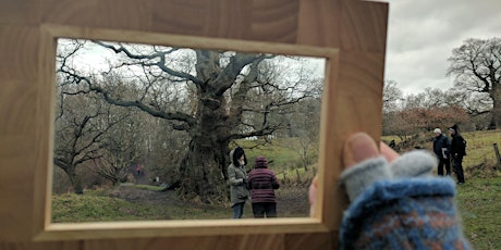 Framing the Landscape Wander - Hamilton primary image