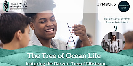 Imagem principal do evento Young Marine Biologist Club: The Tree of Ocean Life