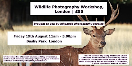 Wildlife Photography Workshop, London tickets