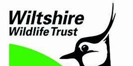 Wiltshire Wildlife Trust Harry Potter Day Three