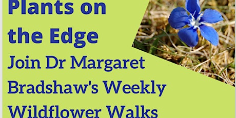 Copy of Dr Bradshaw's Weekly Wildflower Walks primary image