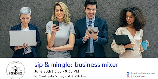 Sip & Mingle: Business Mixer primary image